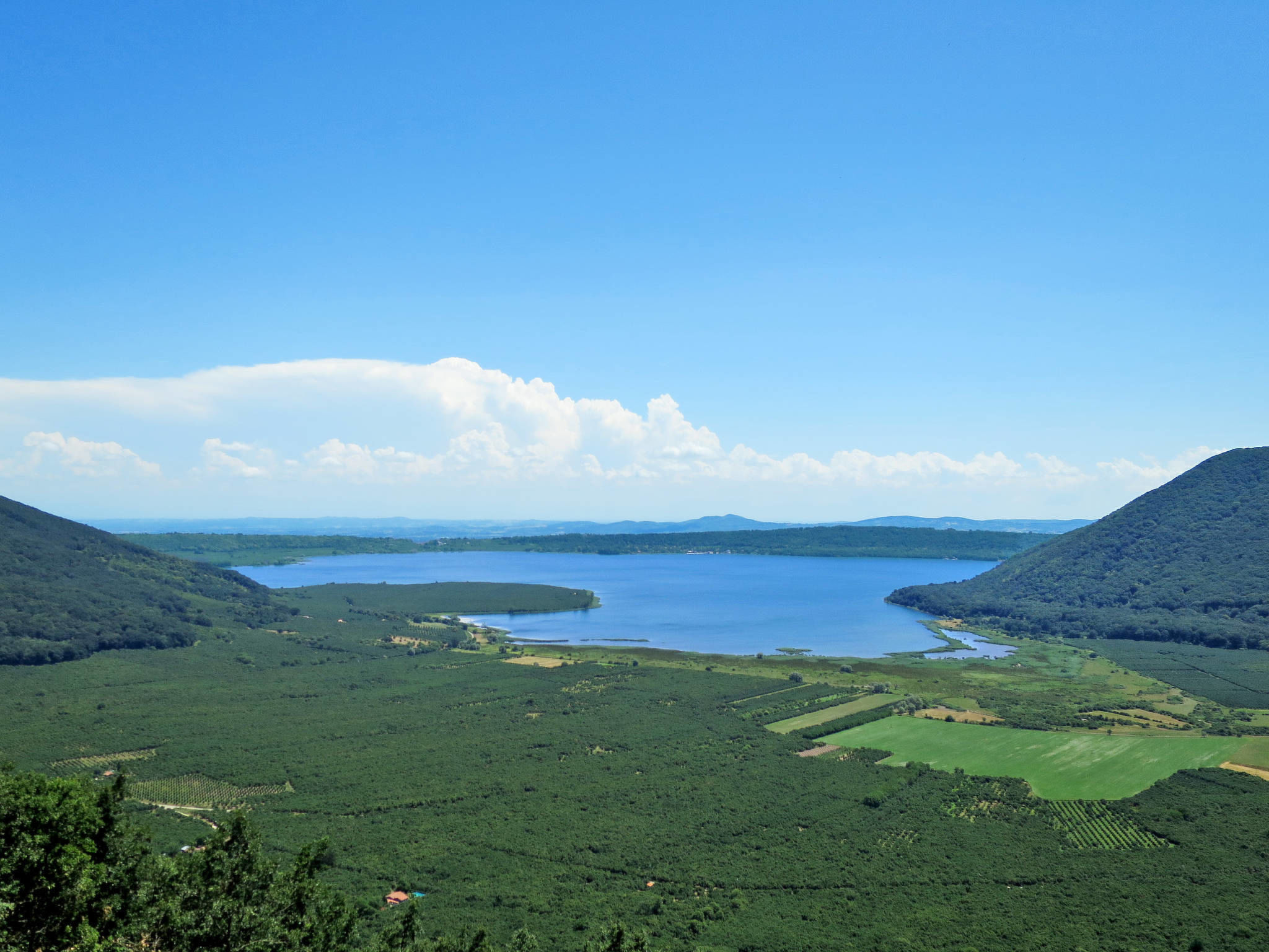 lago vista homes for rent