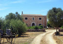 Ferienhaus Salom,Santanyi,Mallorca image-5