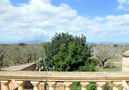 Villa Clau,Can Picafort,Mallorca image-16