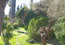 Villa Ferre,Pollenca,Mallorca image-10