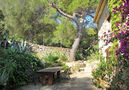 Villa Ferre,Pollenca,Mallorca image-11