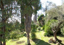 Villa Ferre,Pollenca,Mallorca image-12