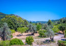 Villa Varitx Paradise,Pollenca,Mallorca image-78