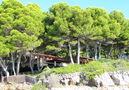 Villa Lembat,Son Servera,Mallorca image-37