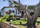 Villa Aries de Emporda,Torroella de Montgri,Costa Brava image-44