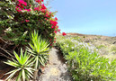 Vakantievilla Tanzanita,San Miguel de Abona,Canary Islands image-85
