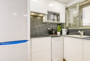 https://www.clubvillamar.comDelfín - 4