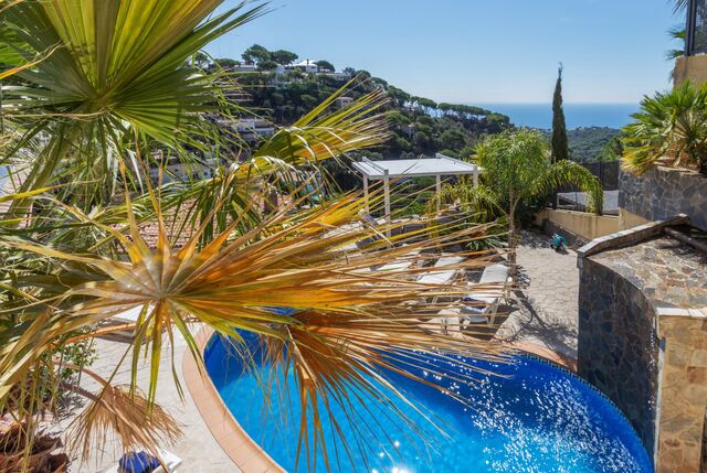 https://www.clubvillamar.comFloradise - Main