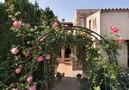 Villa Panada,Pollensa,Mallorca image-7
