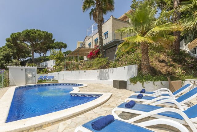 https://www.clubvillamar.comLemon Azul - Main