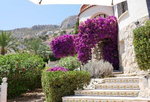 https://www.clubvillamar.comAtalaya - 5