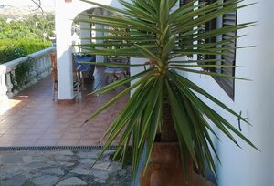 https://www.clubvillamar.comMichelea - 4
