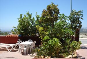 https://www.clubvillamar.comMeliagua - 2