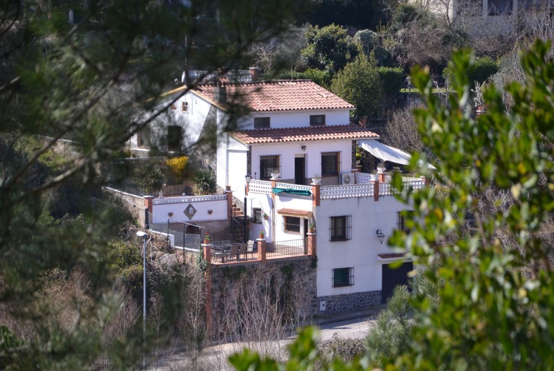 Villa Mirlo,Riudarenes,Costa Brava #1