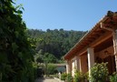 Villa Gedeon,Pollenca,Mallorca image-17