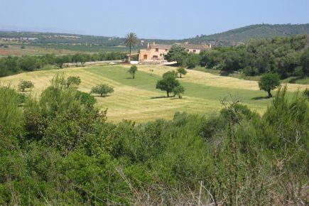 Villa Onega,Manacor,Mallorca #2