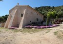 Villa Topola,Alcudia,Mallorca image-29