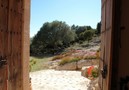 Villa Topola,Alcudia,Mallorca image-30
