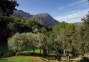 Villa Can Picassa,Pollensa,Mallorca image-18