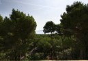 Vakantievilla Monte Blanco,Formentor,Mallorca image-13