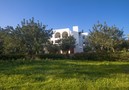 Villa Xander,Eivissa,Ibiza image-45