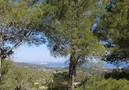 Villa Can Benet,San Agusti des Vedra,Ibiza image-20