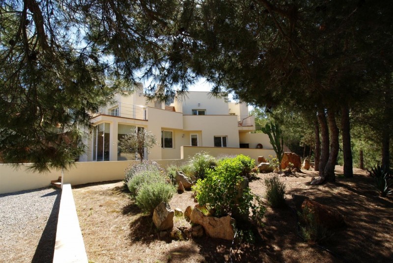 Villa Ganzaia,Cala Tarida,Ibiza #2