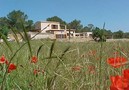 Villa Can Rafal,Sant Josep De Sa Talaia,Ibiza image-15