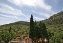 Villa Guillo,Pollensa,Mallorca image-36