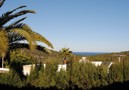 Villa James,San Agustin,Ibiza image-4