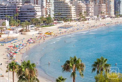 Apartment Leviathan - 1