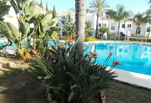 https://www.clubvillamar.comApartment Marbella 32 - 4