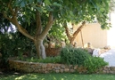 Villa Coolidge,San Jose,Ibiza image-25