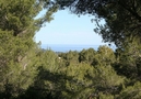 Chalé Coolidge,San Jose,Ibiza image-28