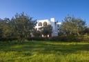 Villa Zorzal,Ibiza,Ibiza image-1