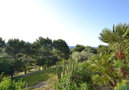 Villa Sanlucar,Alcudia,Mallorca image-20