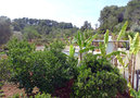 Villa Ibai,Sant Carles Peralta,Ibiza image-8