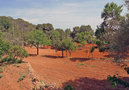 Chalé Ibai,Sant Carles Peralta,Ibiza image-18