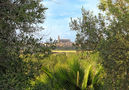 Villa Atarfe,Santanyi,Mallorca image-40