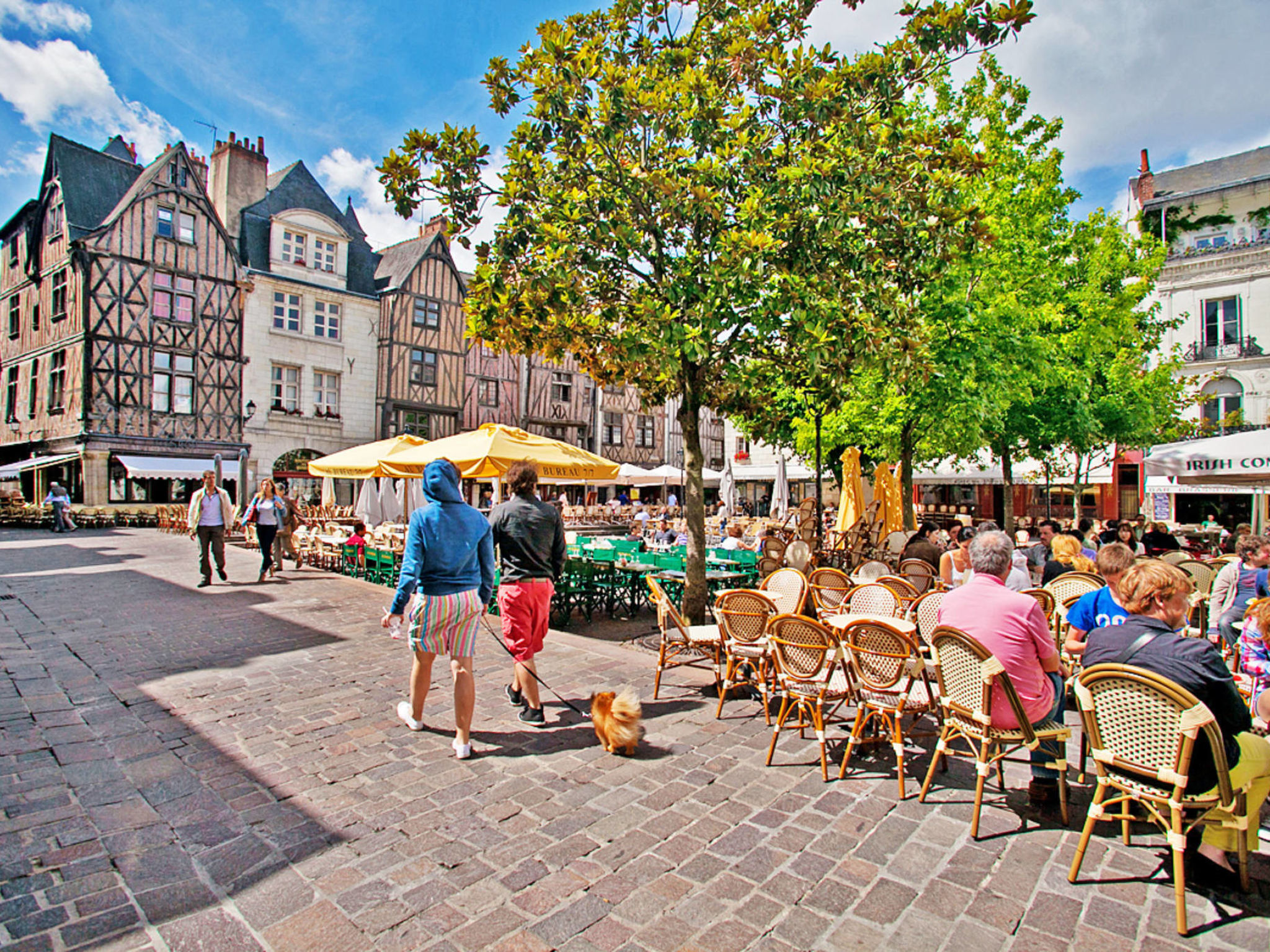 Vakantiehuis Louestault Loire Valley Villa Frankrijk huren Louestault